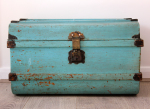 foraging-trunk