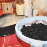 Crostata con More delle Querce Gemelle